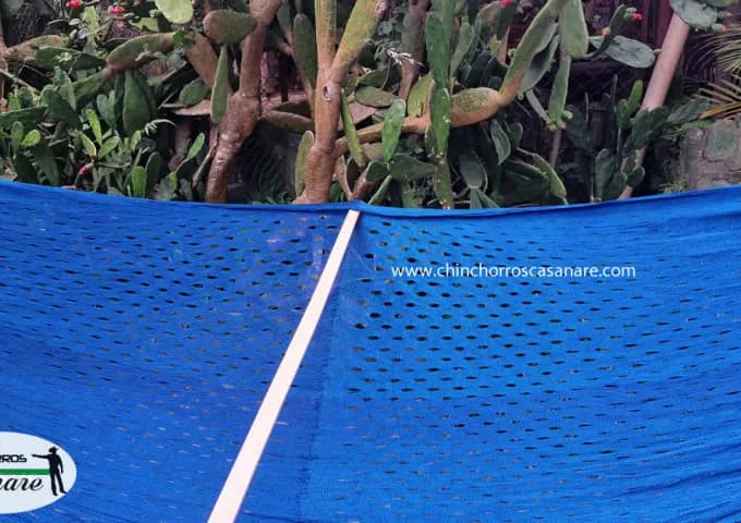 Chinchorro Campechana Grande Premium - Vista 3