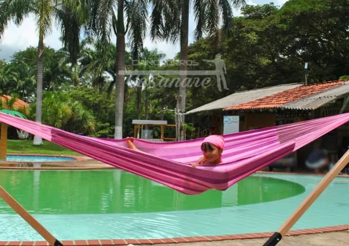 Chinchorro Tradicional Mediano Clásico - Vista 2